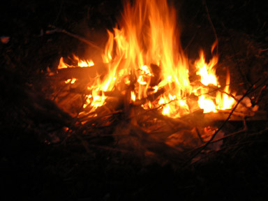 soigner sa langue soigner sa langue